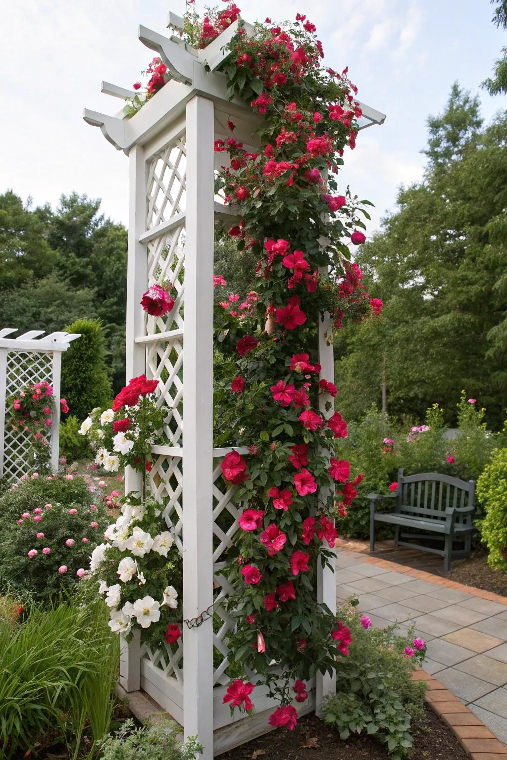 A themed seasonal framework introduces celebratory charm to a garden featuring blossoming blushing trumpet vine.