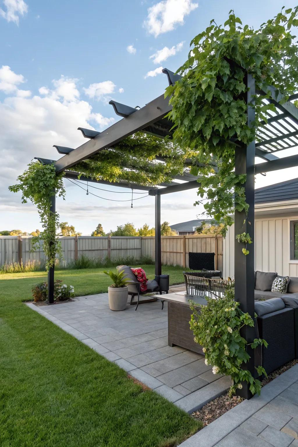Shadow canopies yield both comfort and panache.