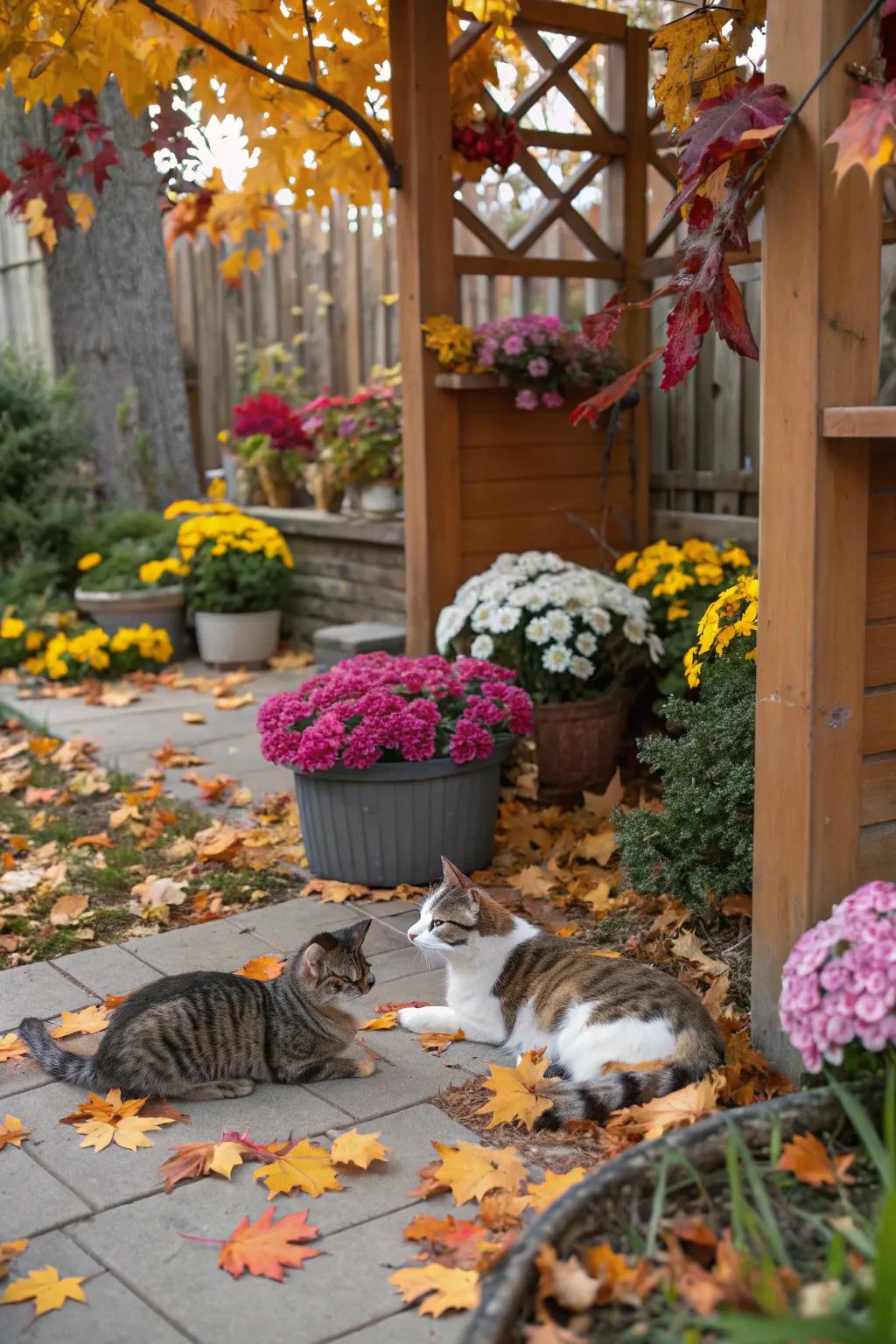 Seasonal decorations instigate diversity and festivity to your cat's outdoor terrain.