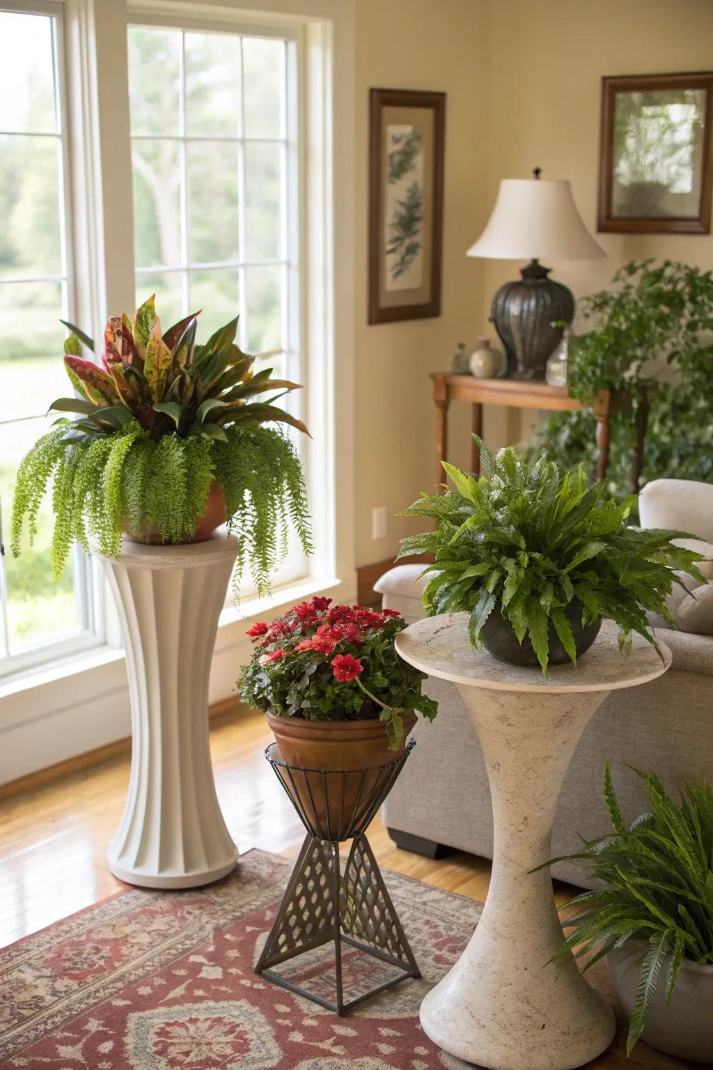 Add height and visual appeal using sculptural plant stands.