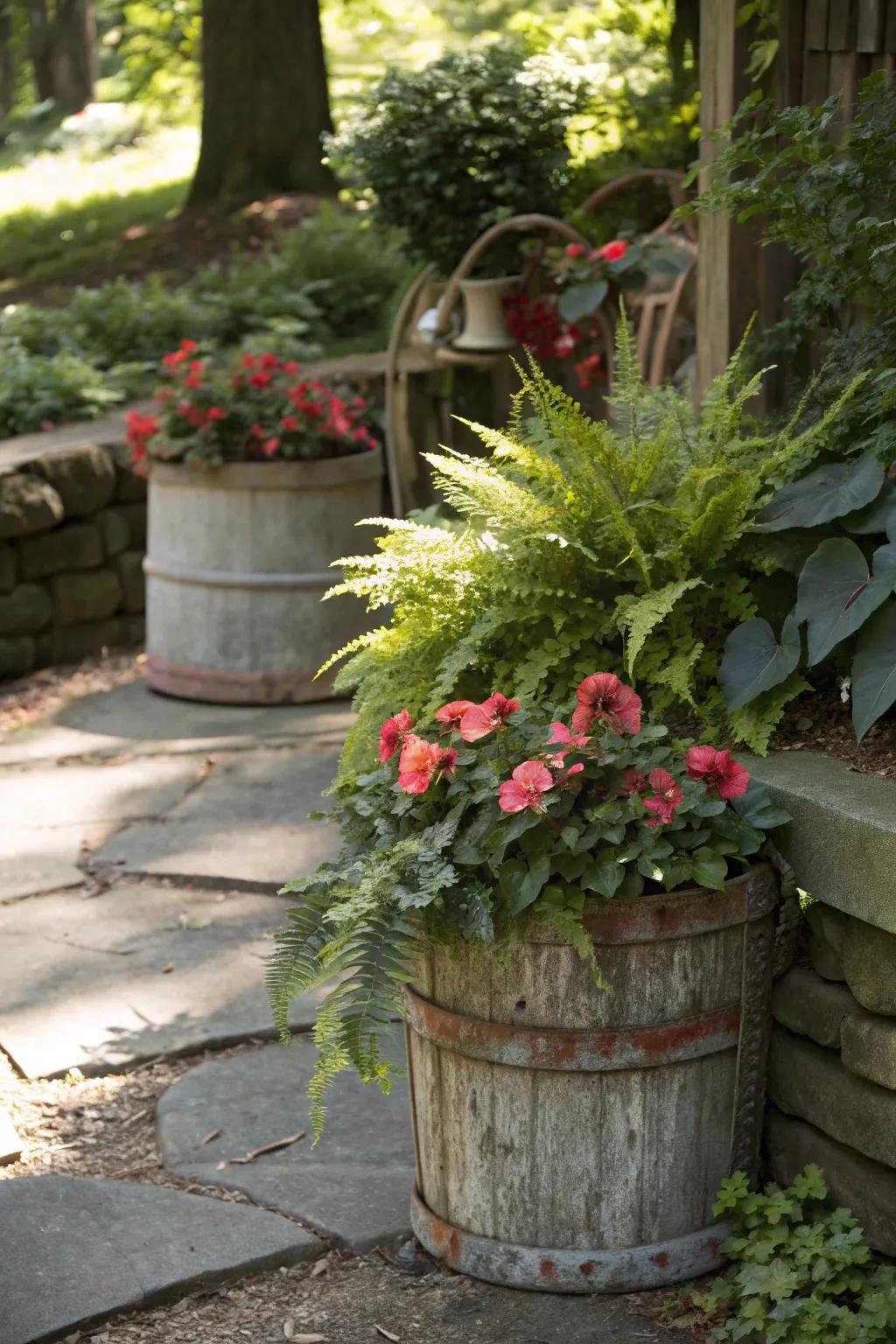 A shaded garden with vintage containers repurposed as planters.