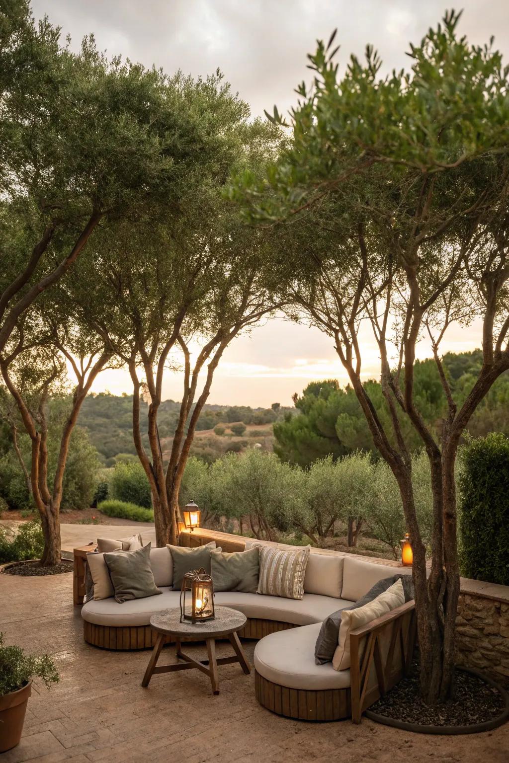 Enjoy seclusion with natural private spaces created by trees.
