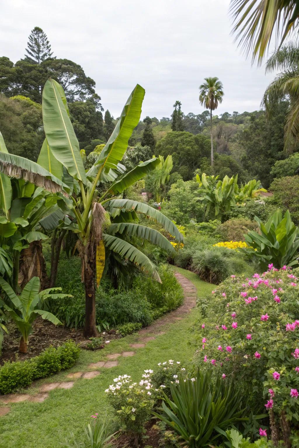 Invite wildlife into your garden with banana trees and nectar-abundant plants.