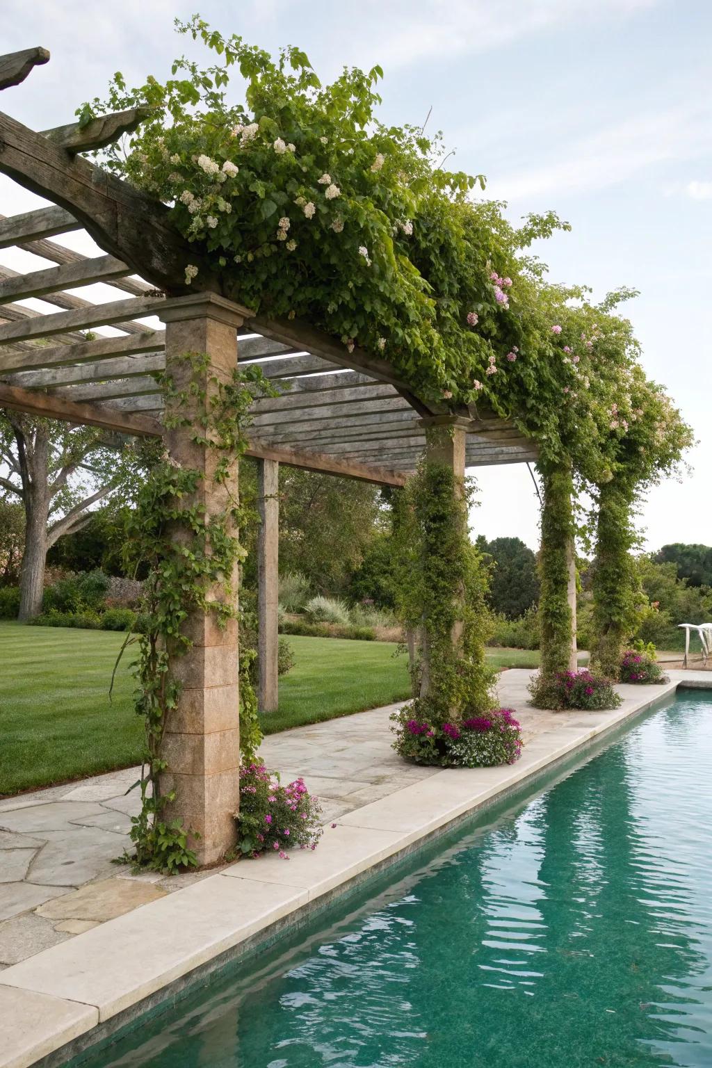 Garden trellis pergola fashioning a natural, integrated aesthetic.