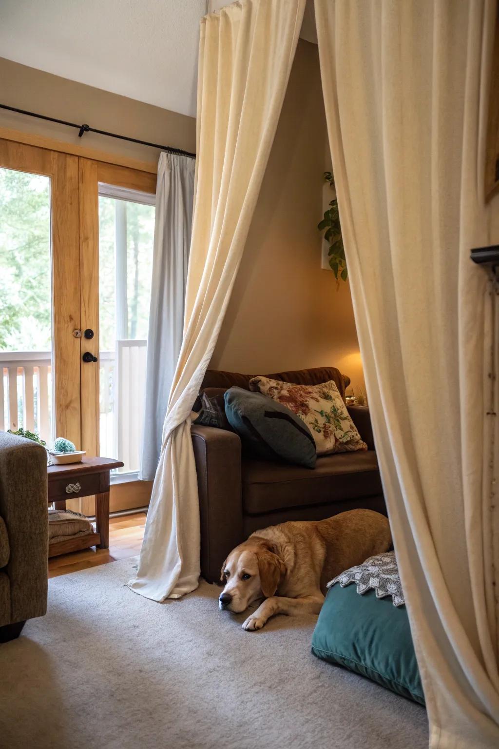 A concealed canine niche featuring draperies, providing a private and exclusive retreat within the social space.