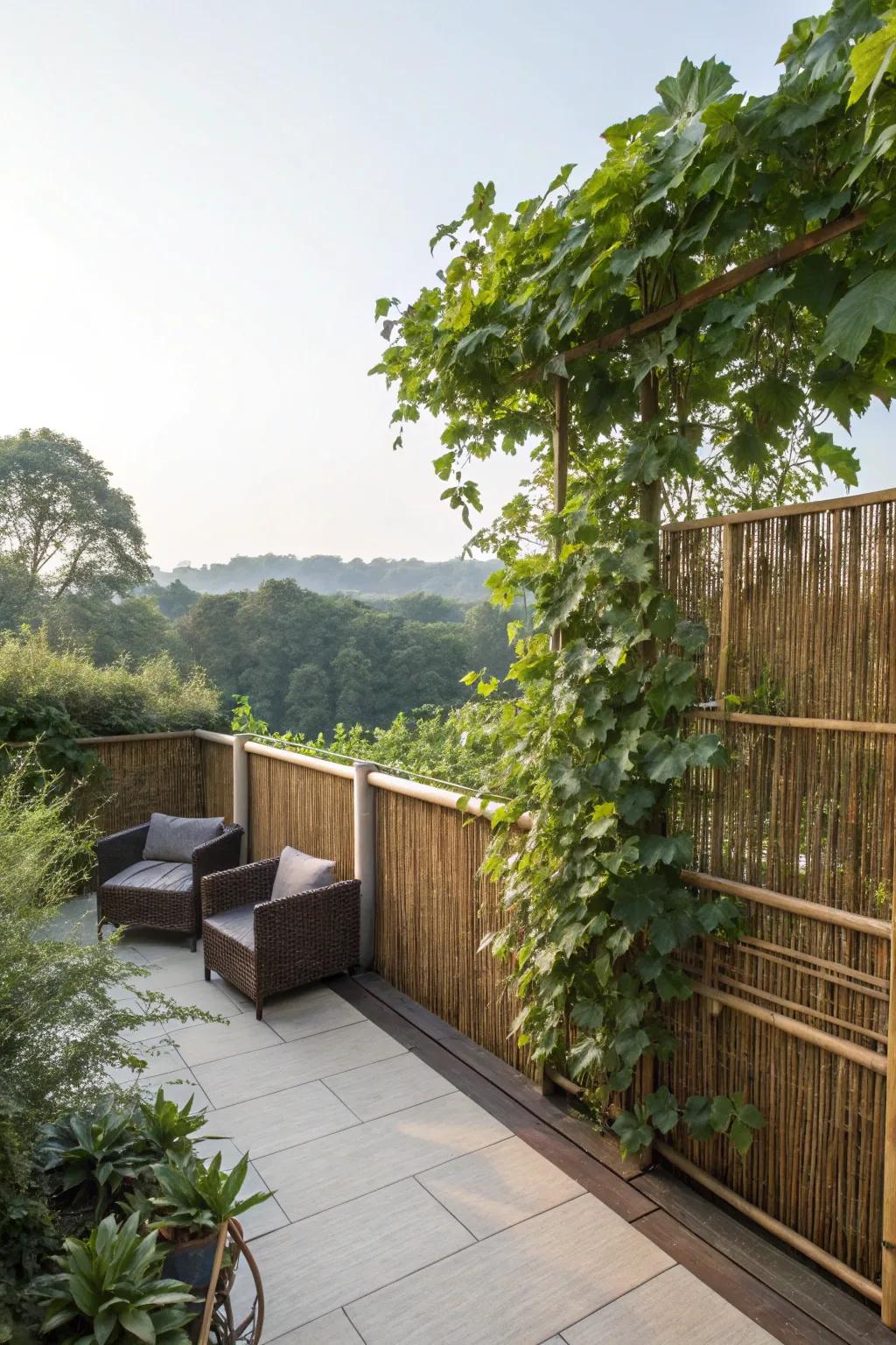 Natural dividers offer privacy and style.