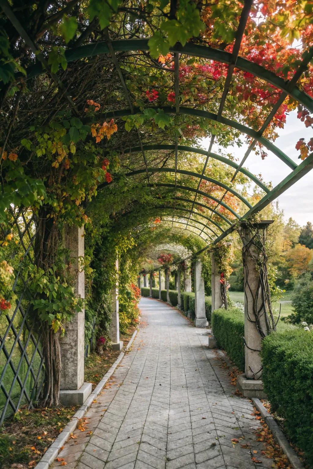 An enchanting walkway framed by a lattice with climbing greenery.