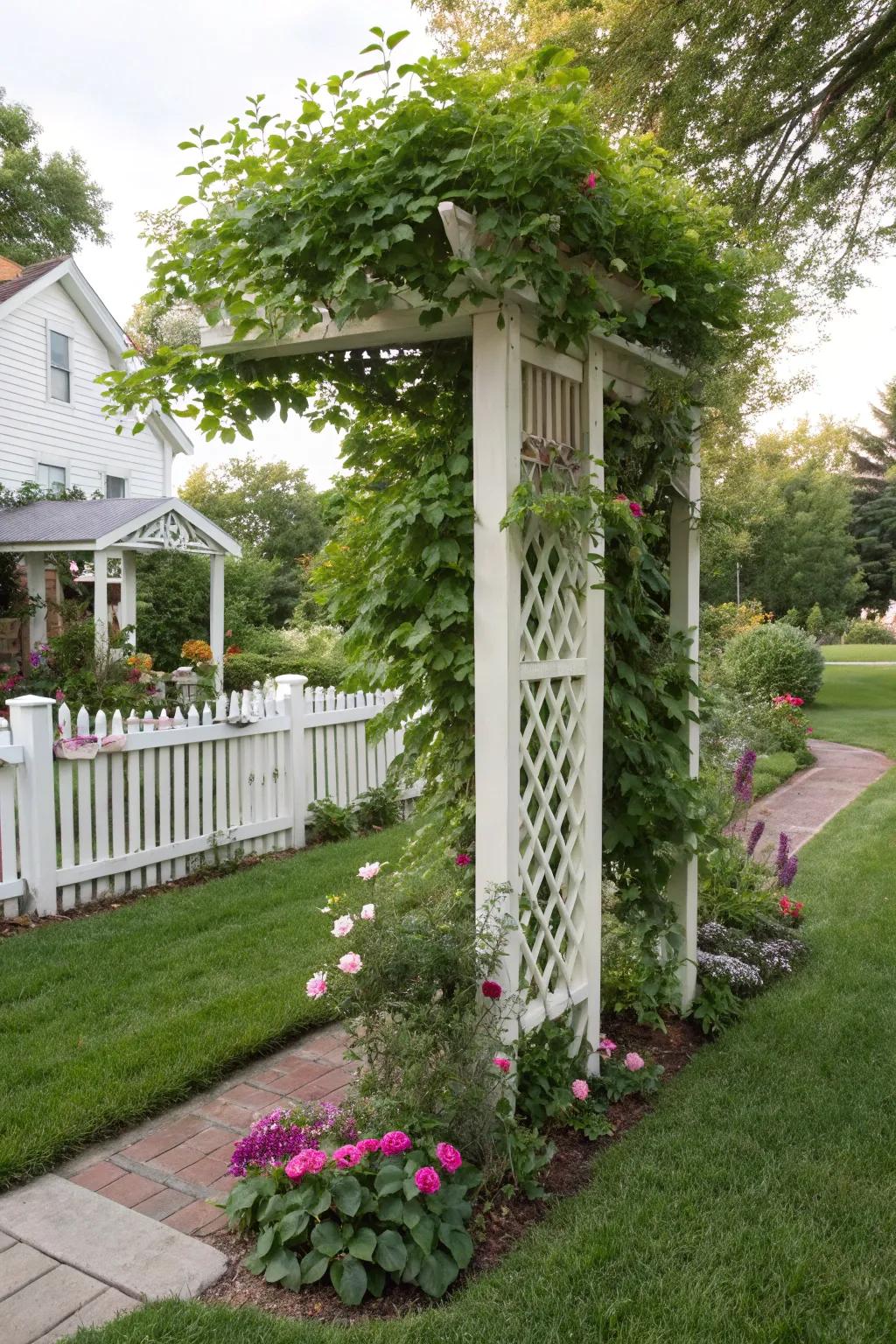 A trellis accentuating a nook space through climbing verdure.