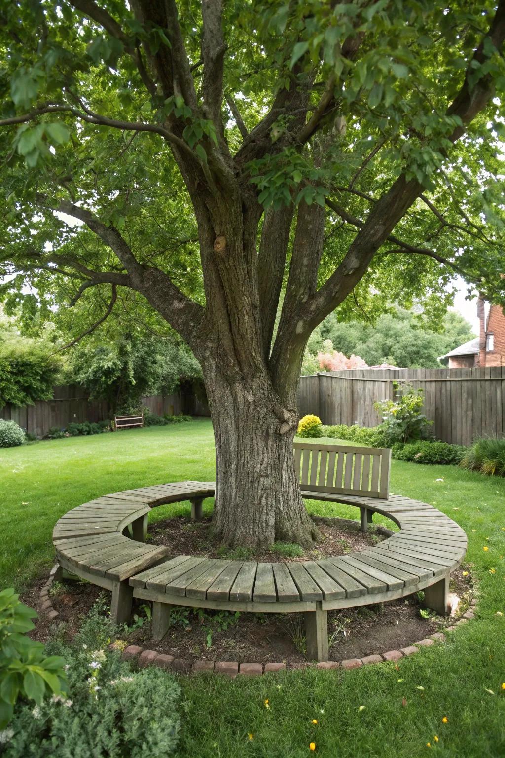 A tree surrounded by a wooden seat, creating a welcoming sitting area.