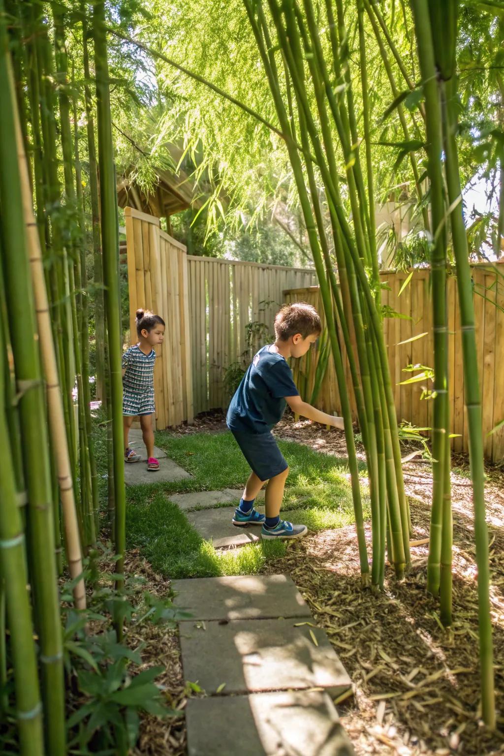 Get lost in the fun with a cane pathway.