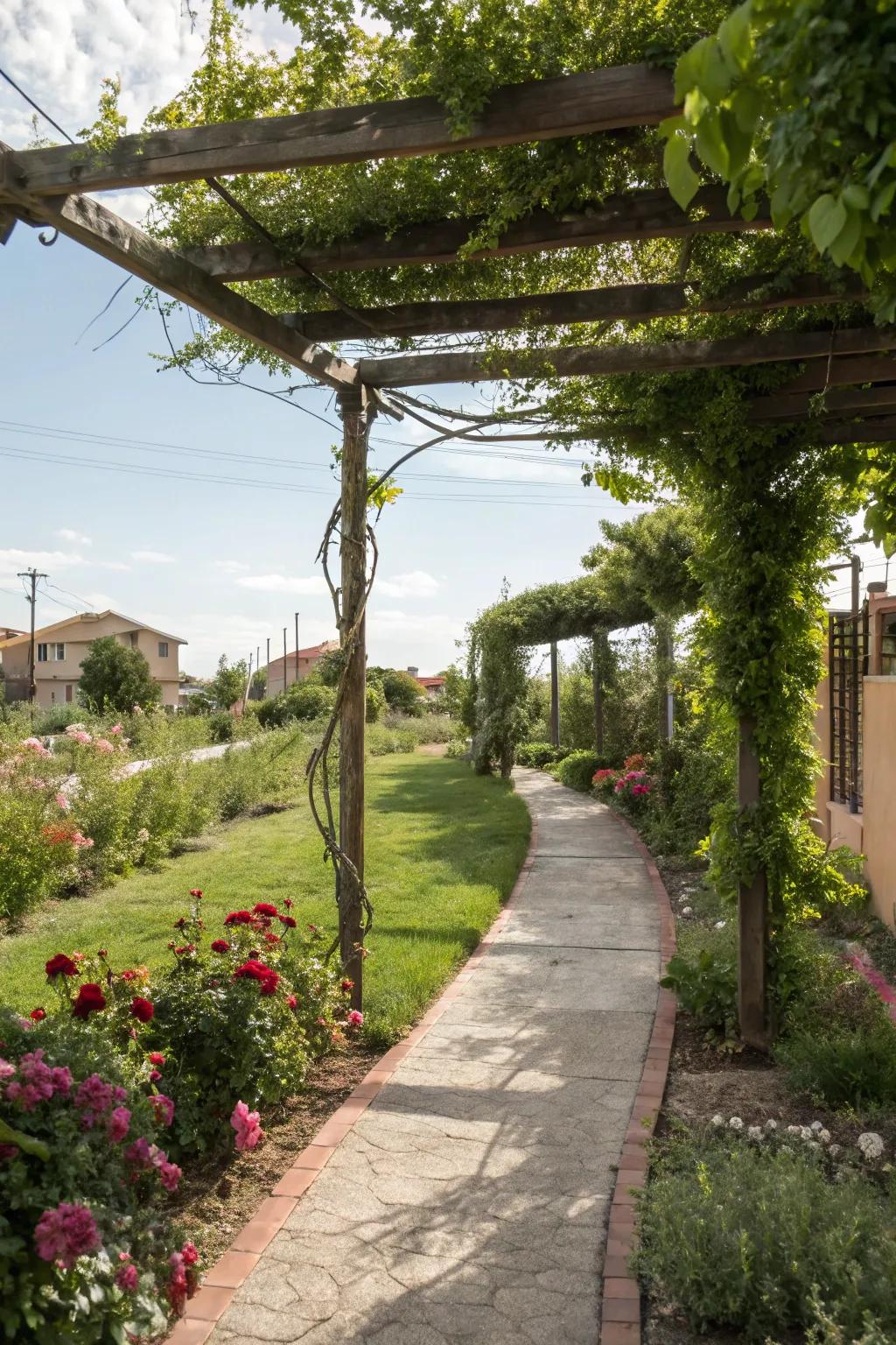 Meander across a placid pergola route retreat.