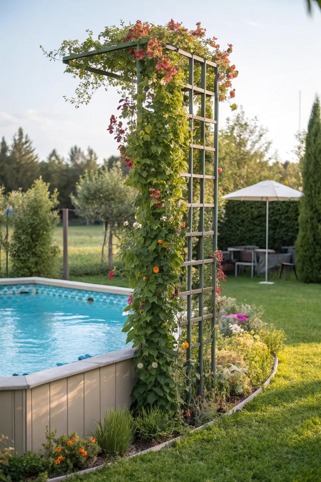 Ascending garden grids offer privacy and a lush atmosphere.
