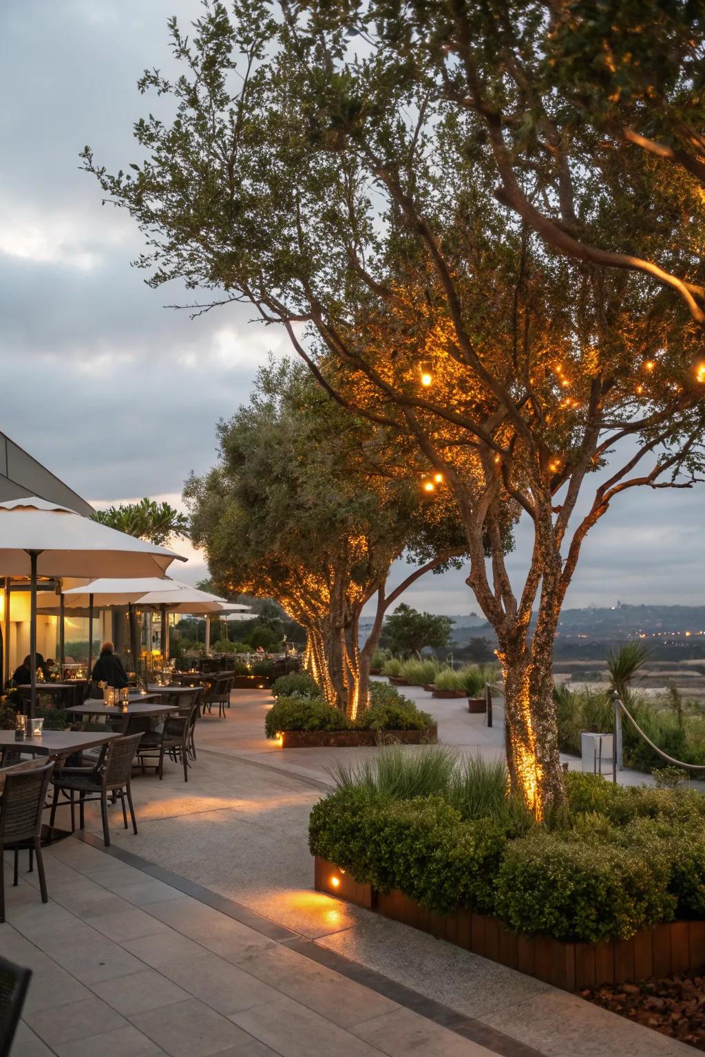 Tree uplighting imparts depth and drama to exterior landscapes.