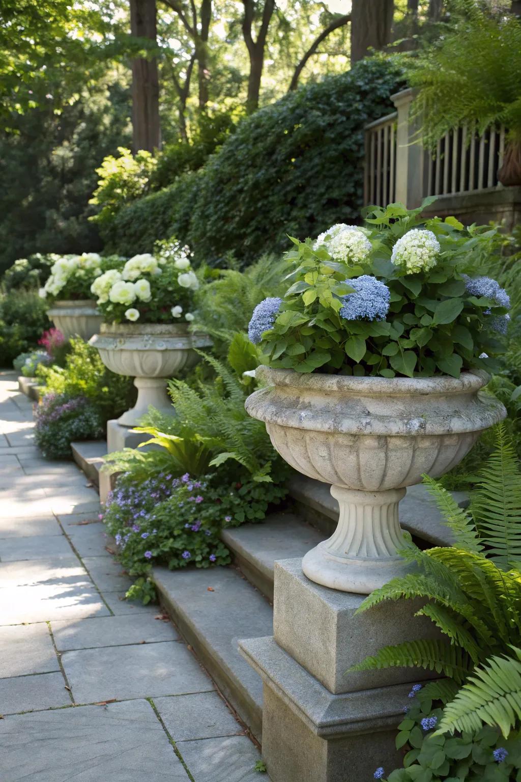 A shaded garden with elegant stone pots showcasing hydrangeas and ferns.