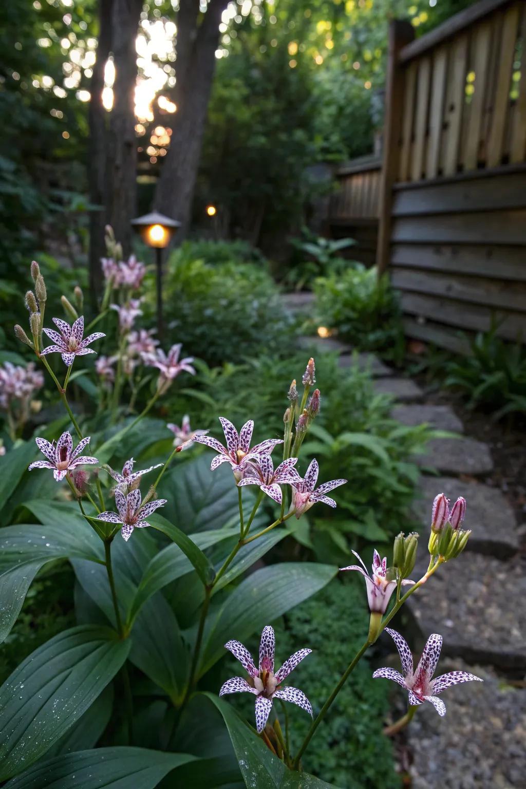 Dappled gem adds intrigue and exotic charm to the shade.