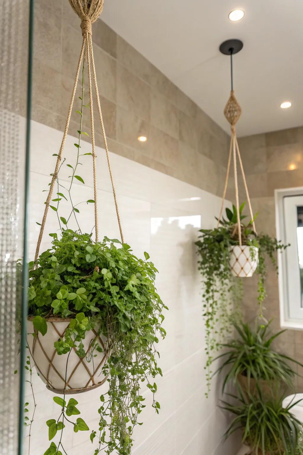 Suspended flora enhance the shower environment with beauty and freshness.