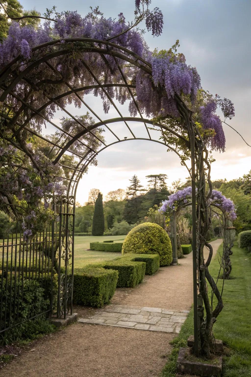 Forged iron arches furnish enduring splendor and sustenance for climbing flora.