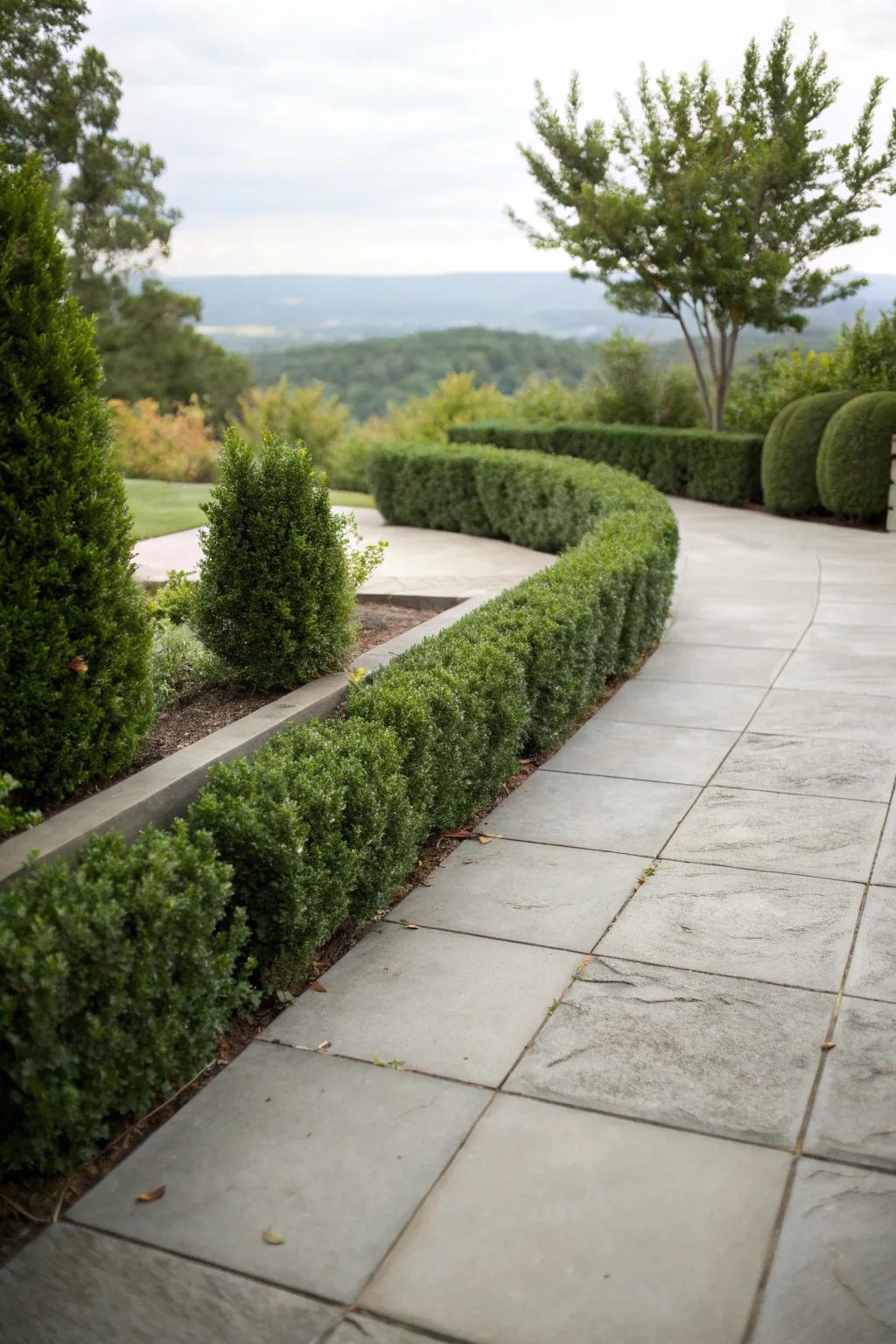 Evergreens offer privacy and verdant beauty for patio borders.