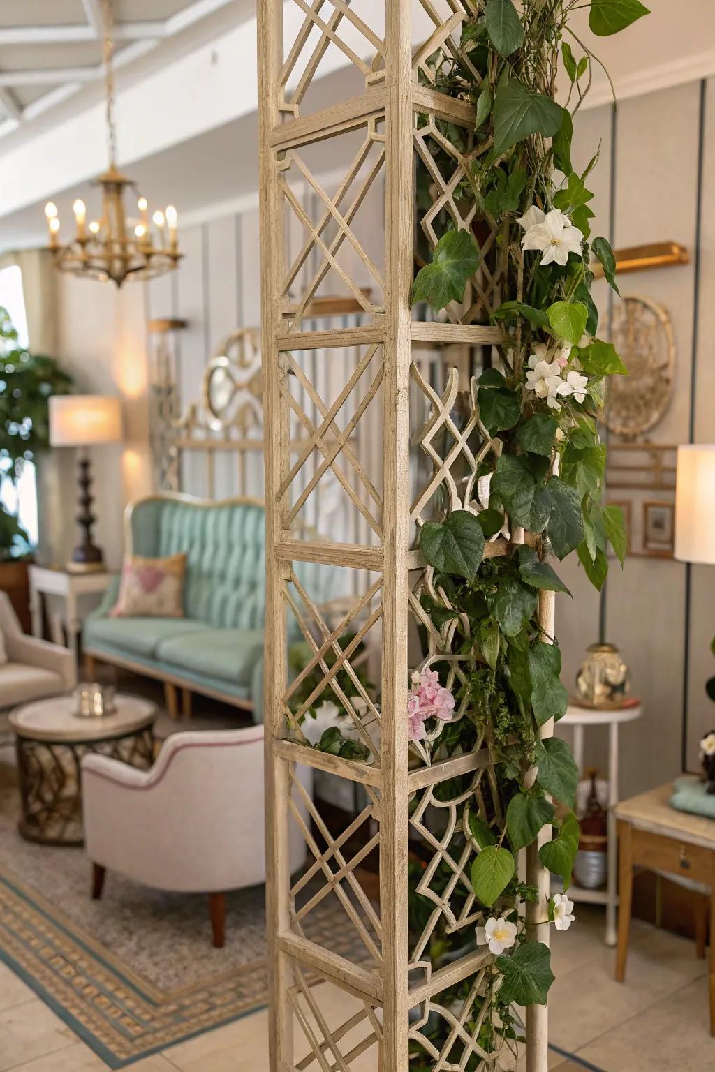 A vintage-themed room featuring a Hoya on an Art Deco-inspired climbing frame.