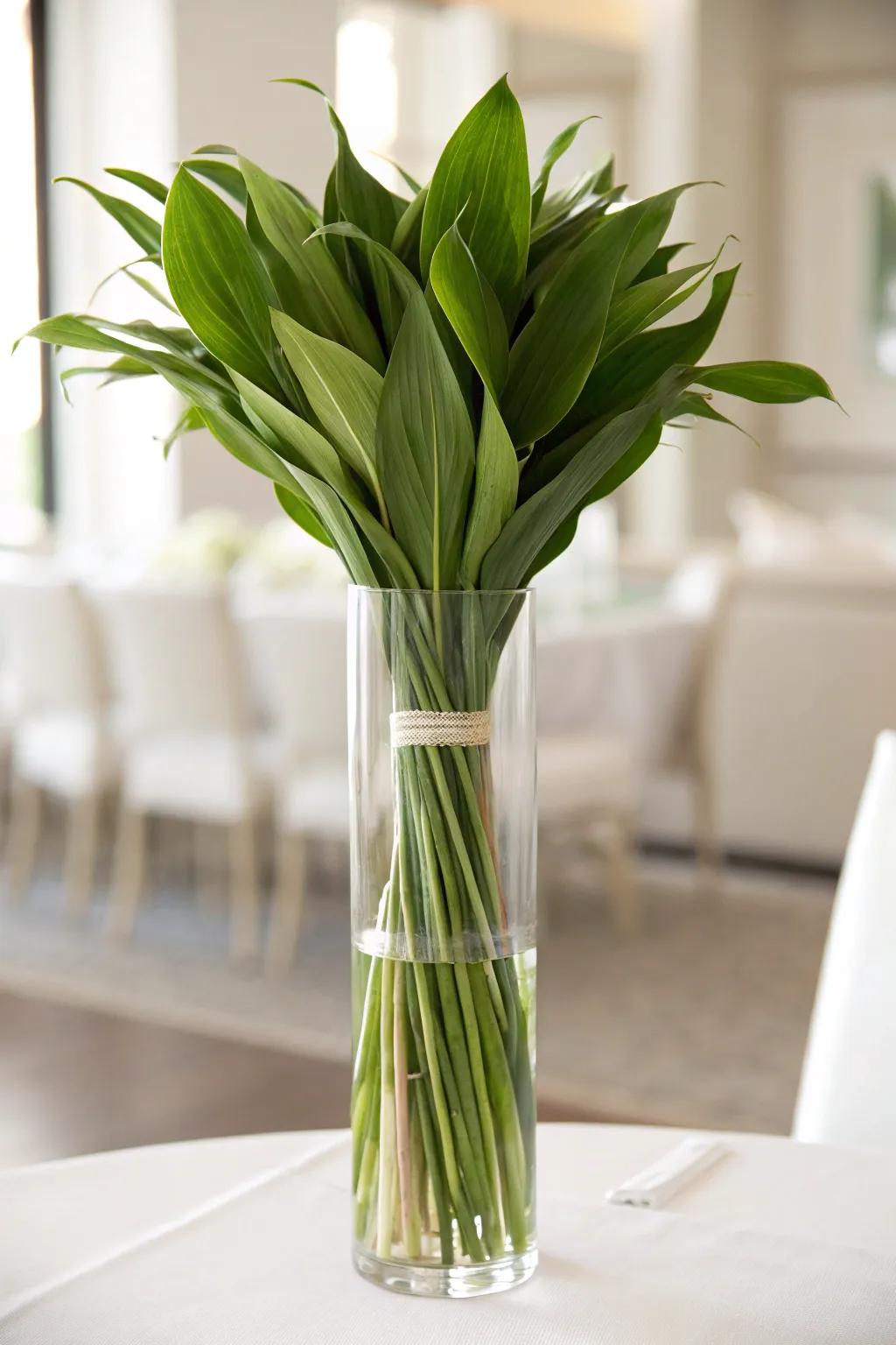 An elevated glass vase containing Aspidistra fronds, whilst sustaining emphasis upon the blossoms through a refined visage.