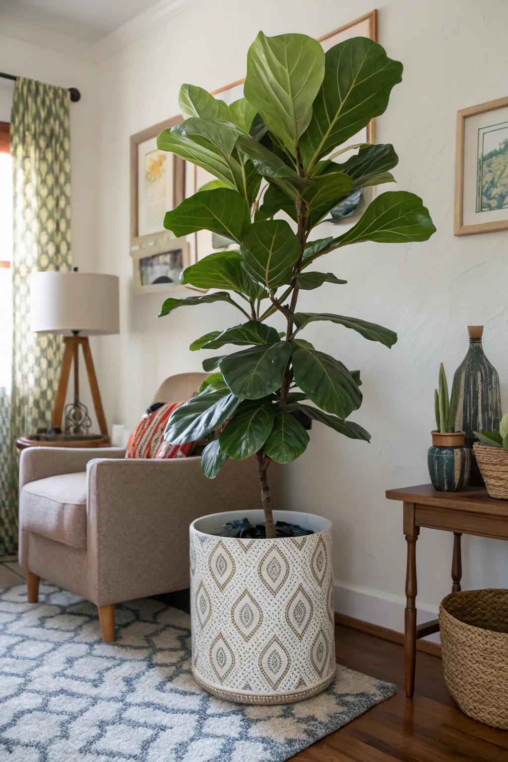 A statement plant breathes life into a corner, turning it into a lively focal point.