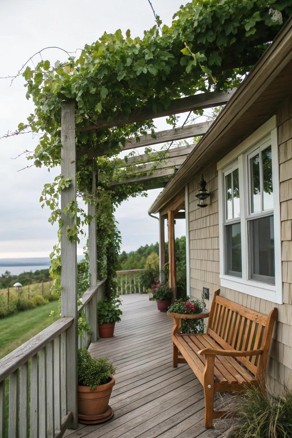 A pergola creates an interplay of light and shadow that is truly unique.