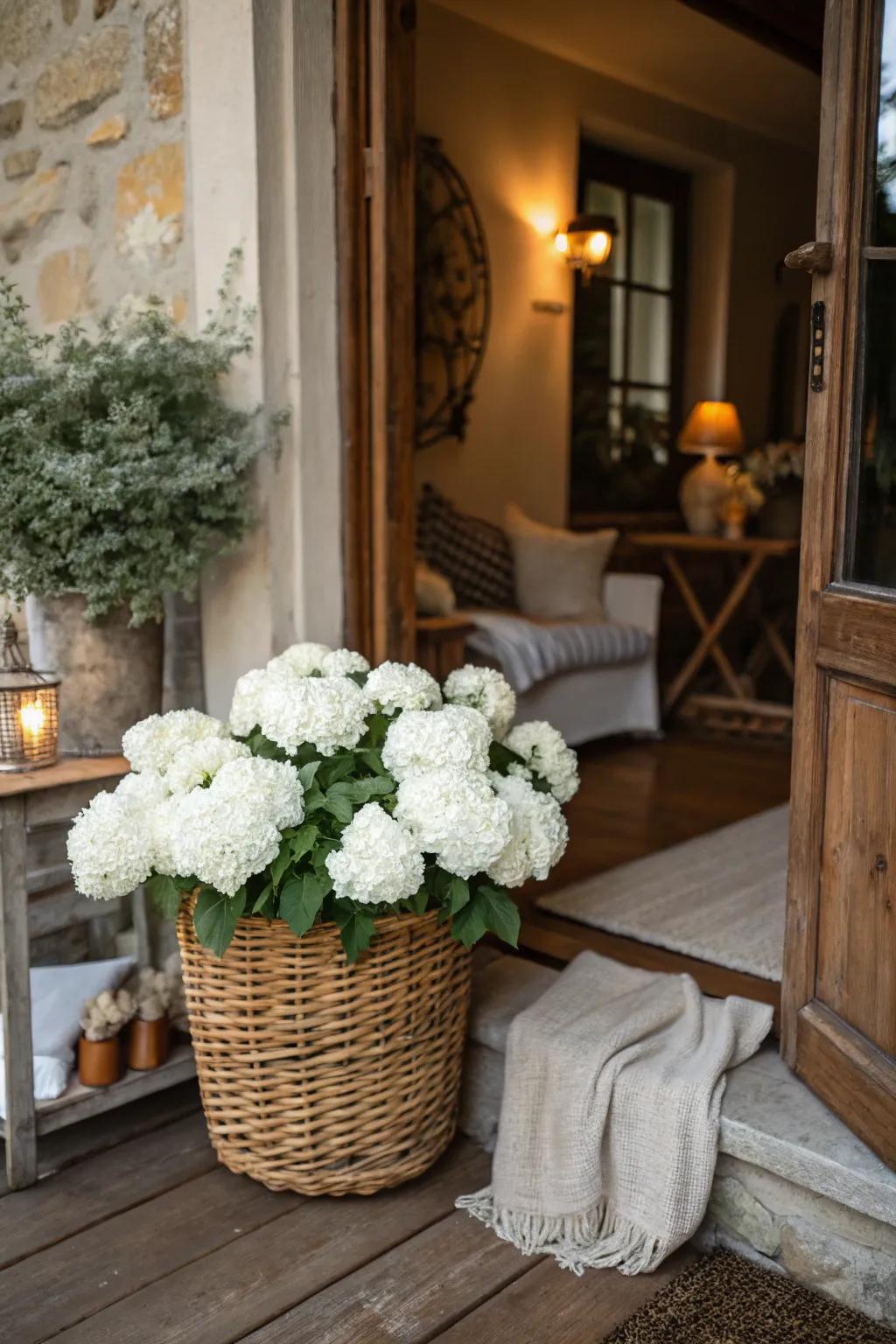 White snowball blooms in a basket offer a down-to-earth welcome.