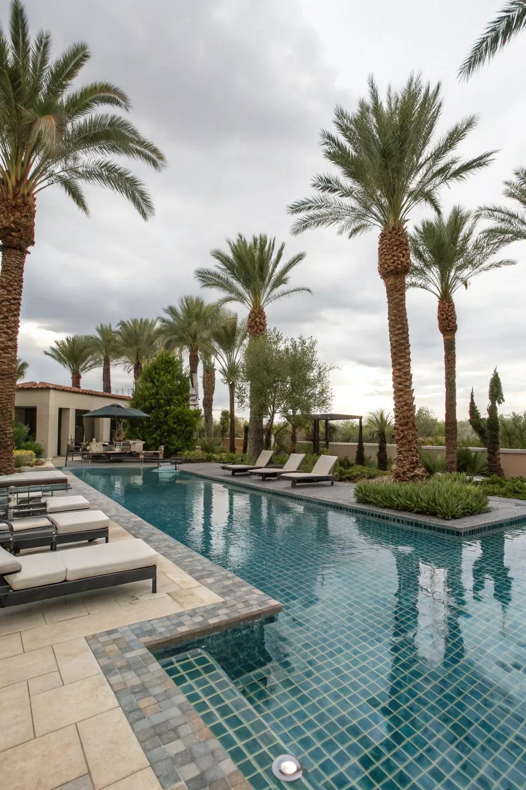 Elegant pool in a Las Vegas backyard complemented by modern lounge furniture.