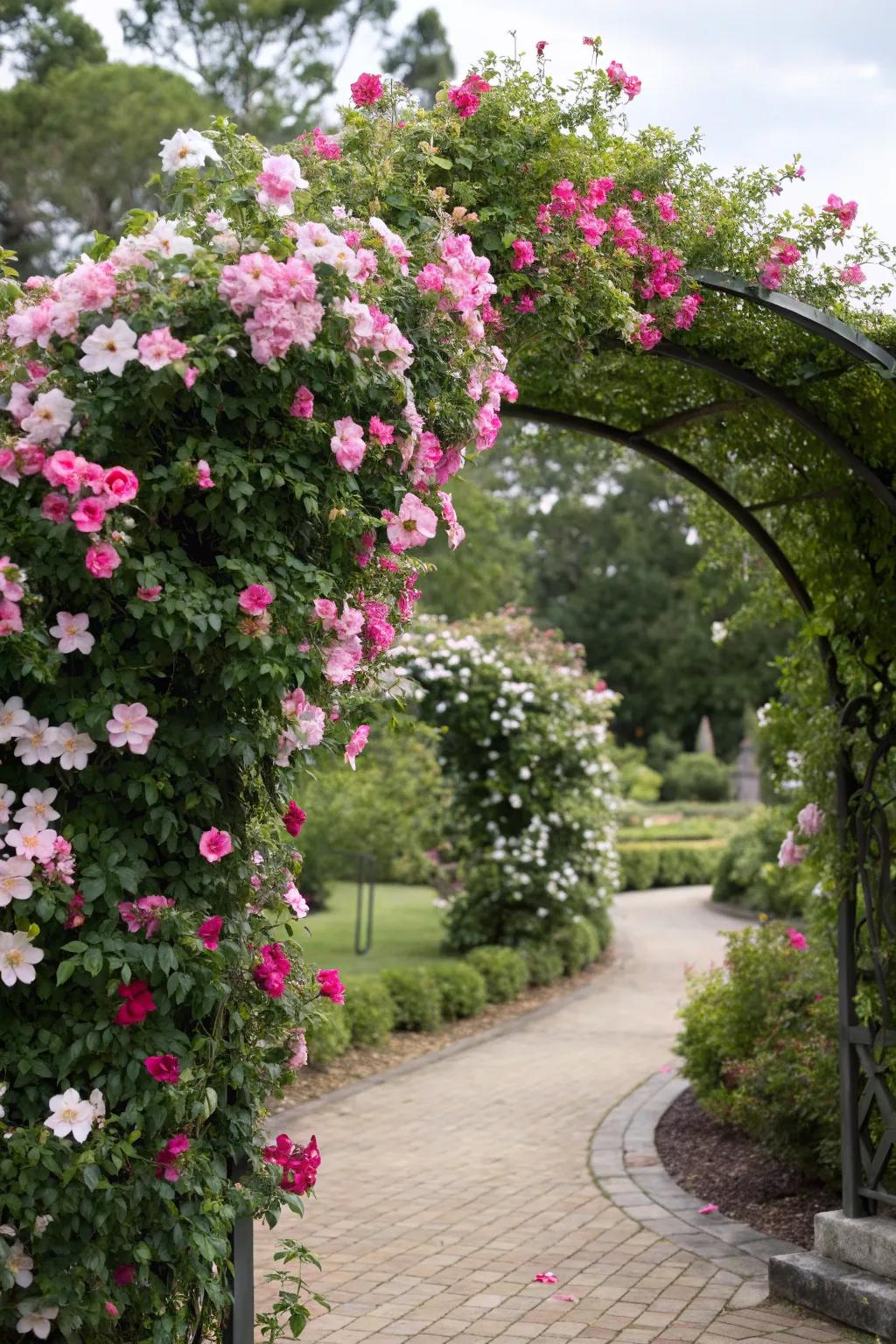 An arched support adorned with blushing trumpet vine blossoms forms a delightful and animated garden entrance.