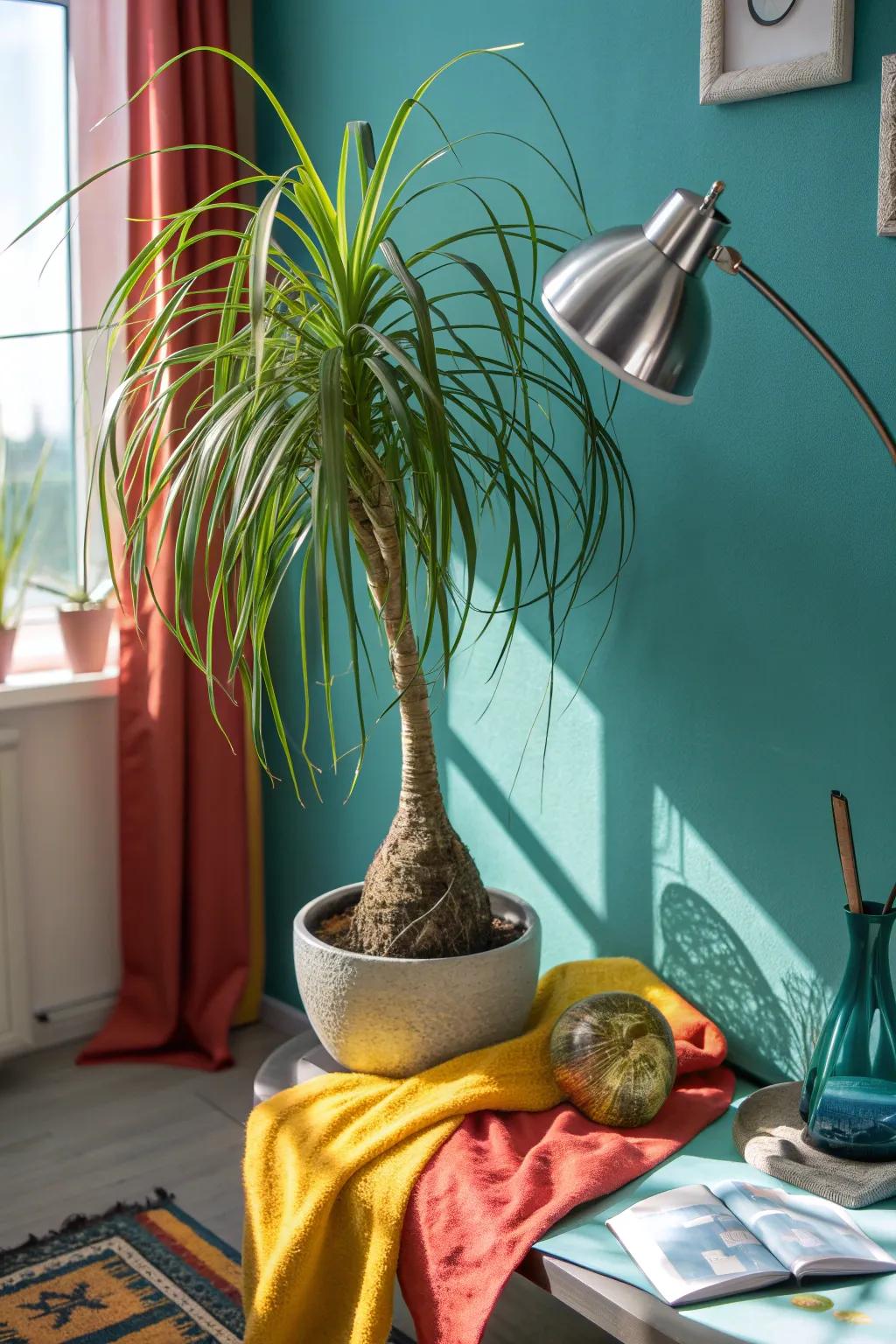 Add whimsy to your office with a horse tail palm, known for its unique and playful appearance.