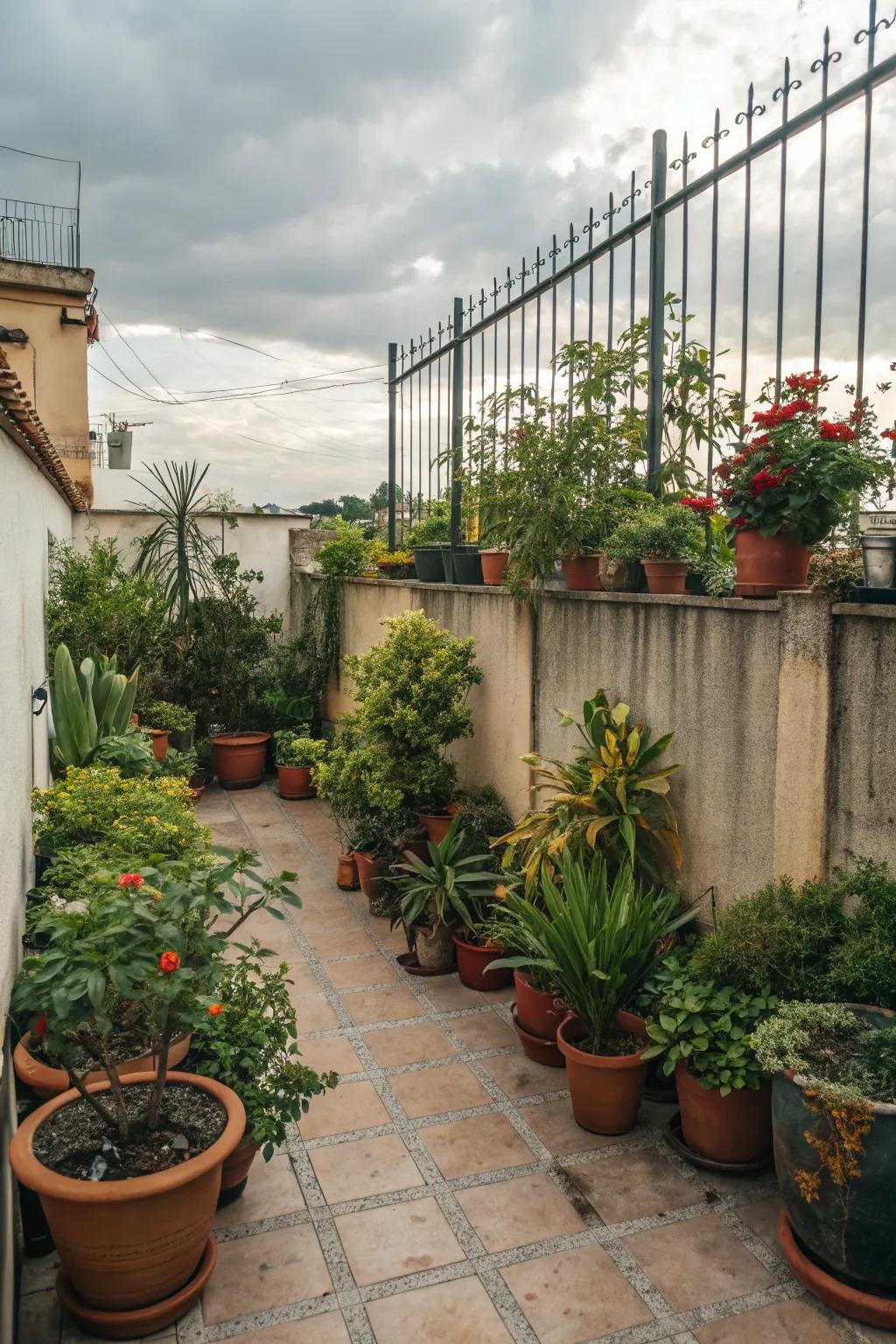 Potted plants turn a patio into a lush, green sanctuary.