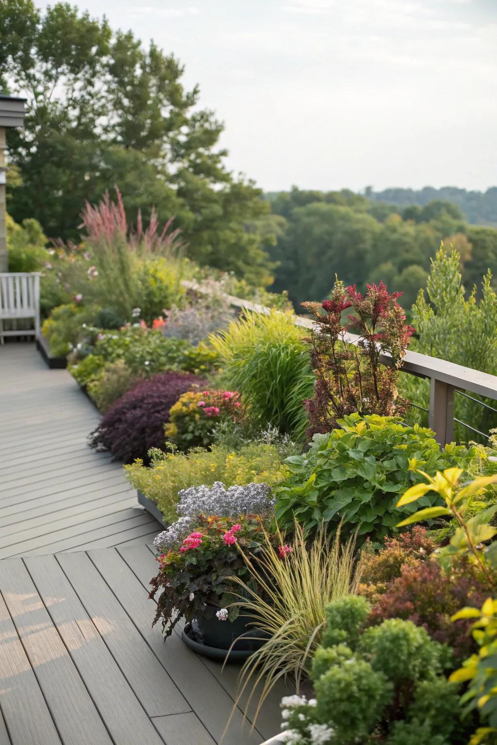 Diverse plant species compose a rich, vibrant haven.