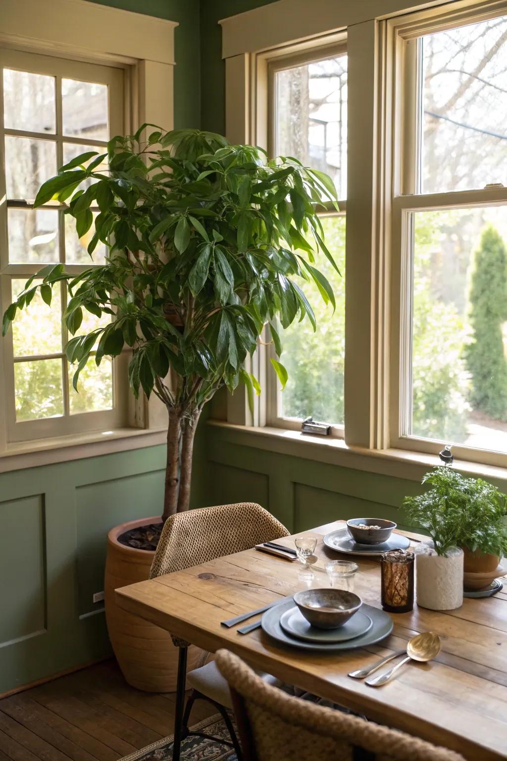 An eye-catching plant delivers a natural touch to the dining space's corners.