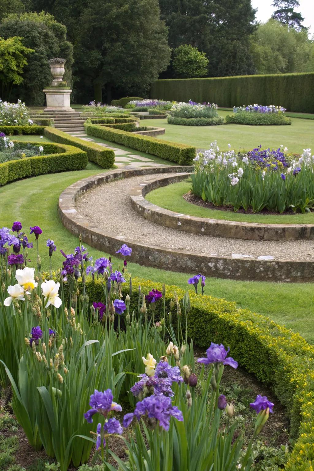Circular placements of irises commanding attention as central features in the garden.