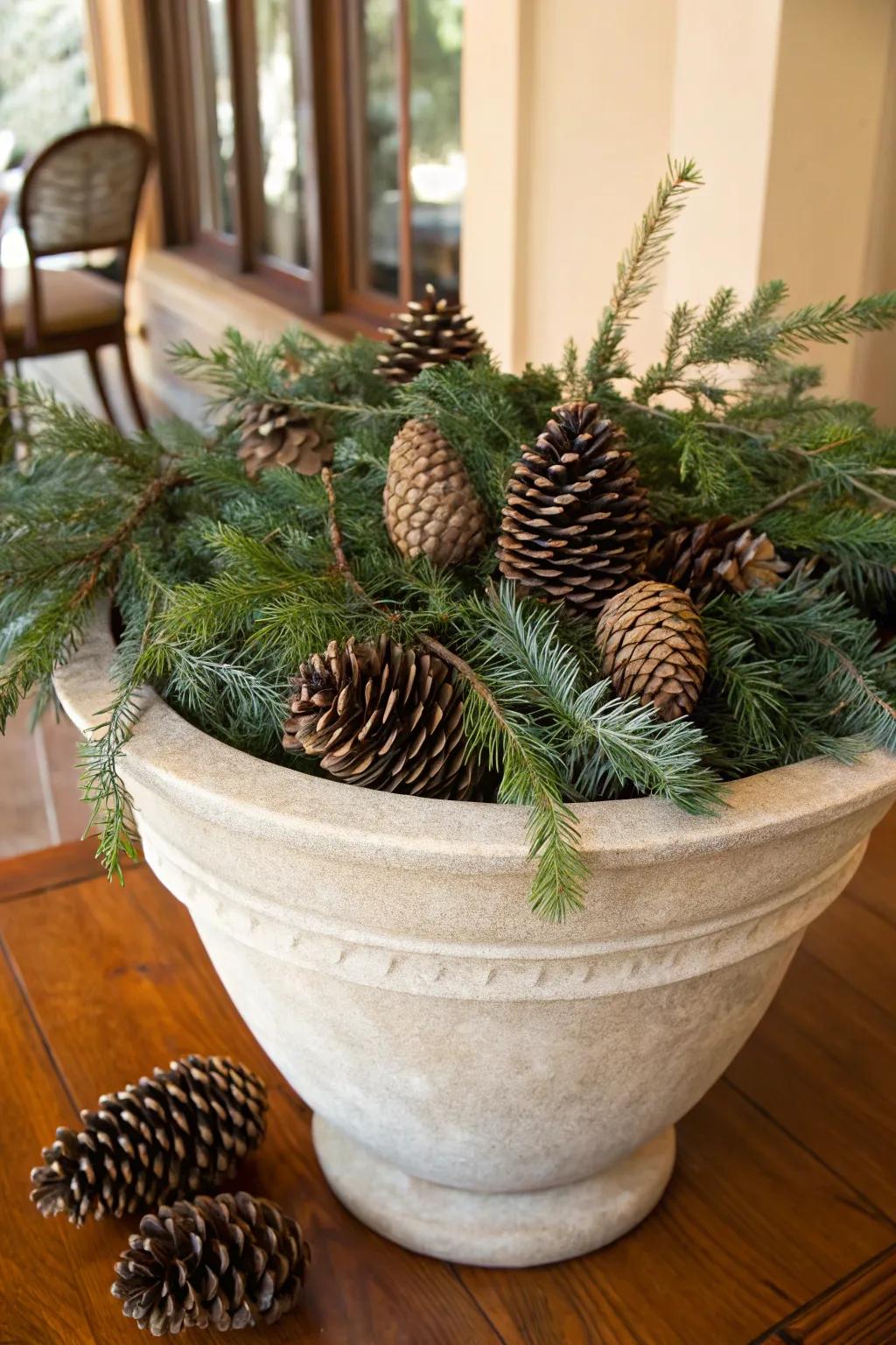 Cones enhance your winter planter designs with their rustic texture.