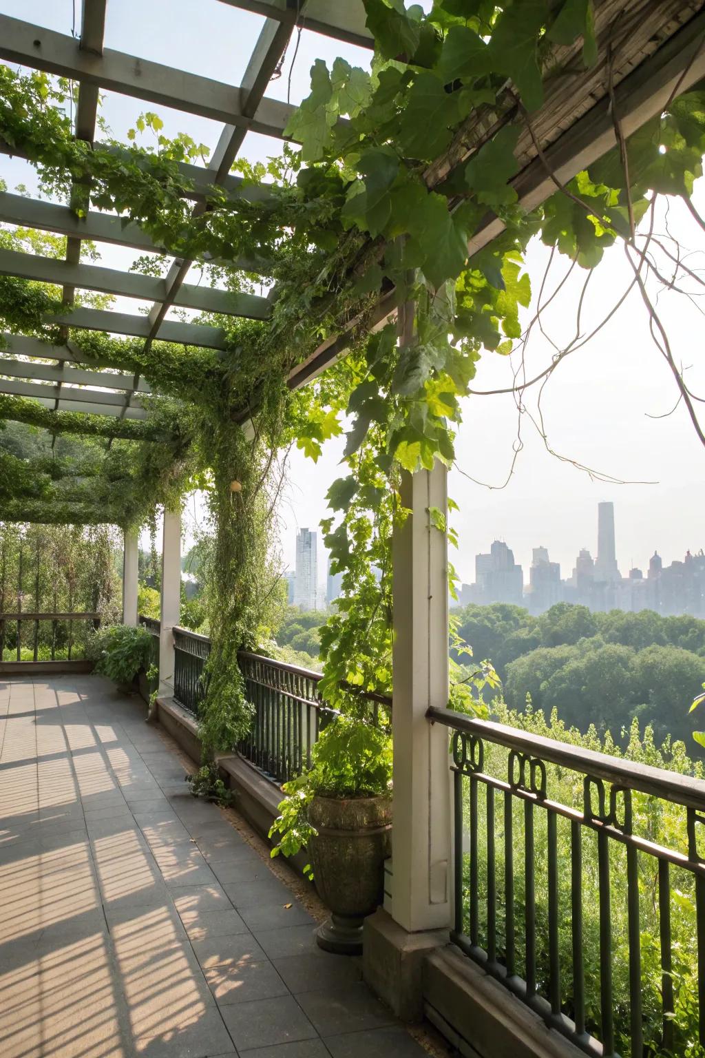 A rich green balcony featuring supports full of climbing plants.