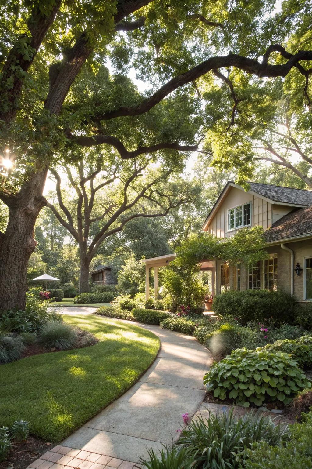 Trees and bushes lend structure and shade to your garden.