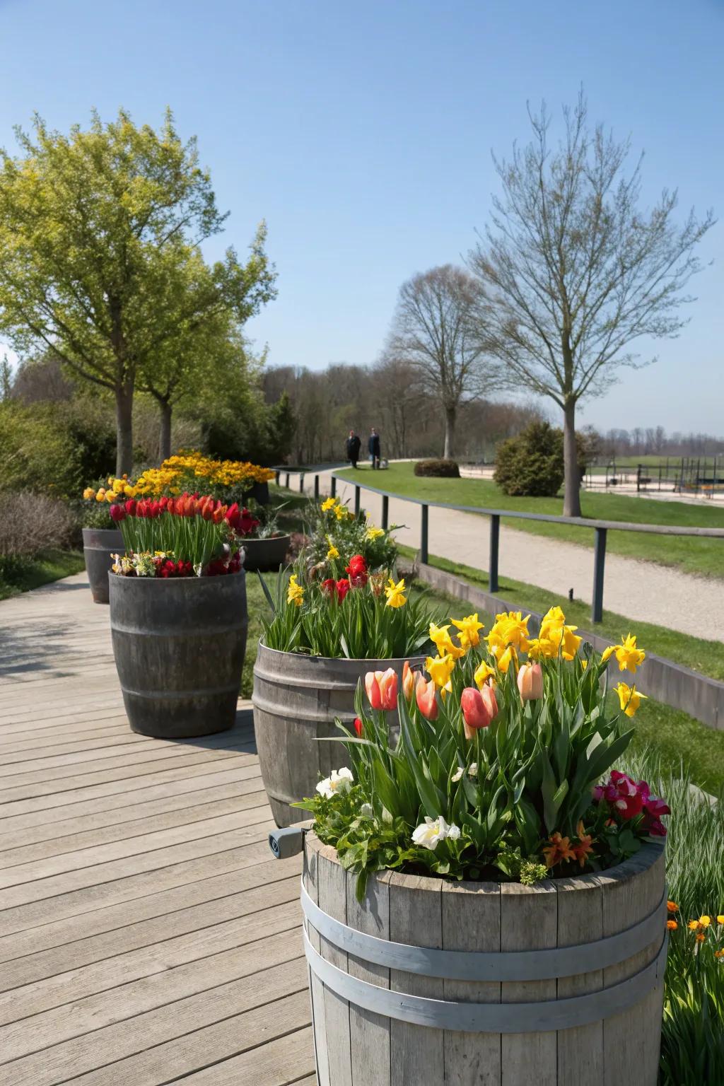 Seasonal blooms bringing freshness to container gardens.