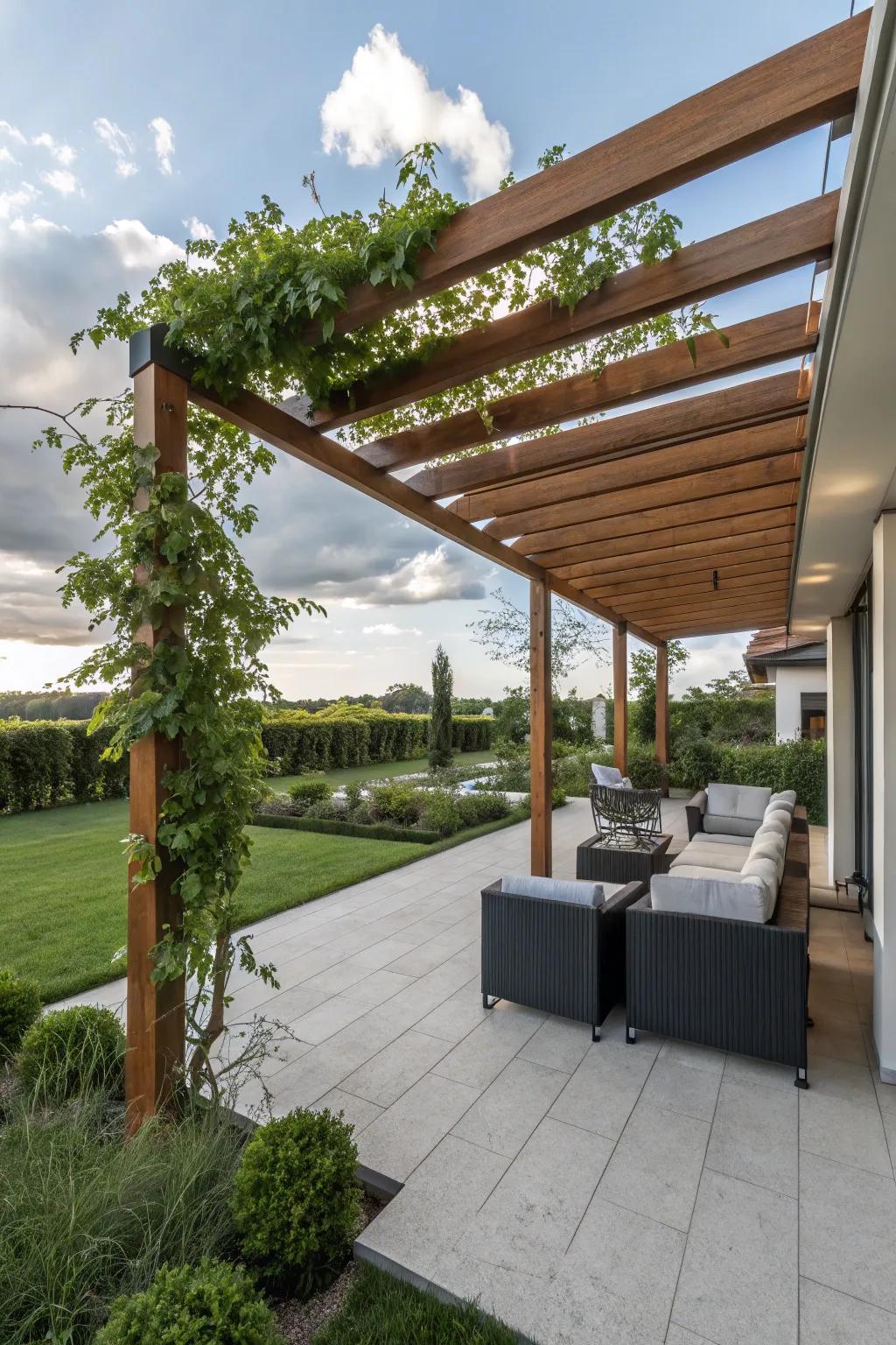 An elegant pergola that adds charm and shade to a patio.