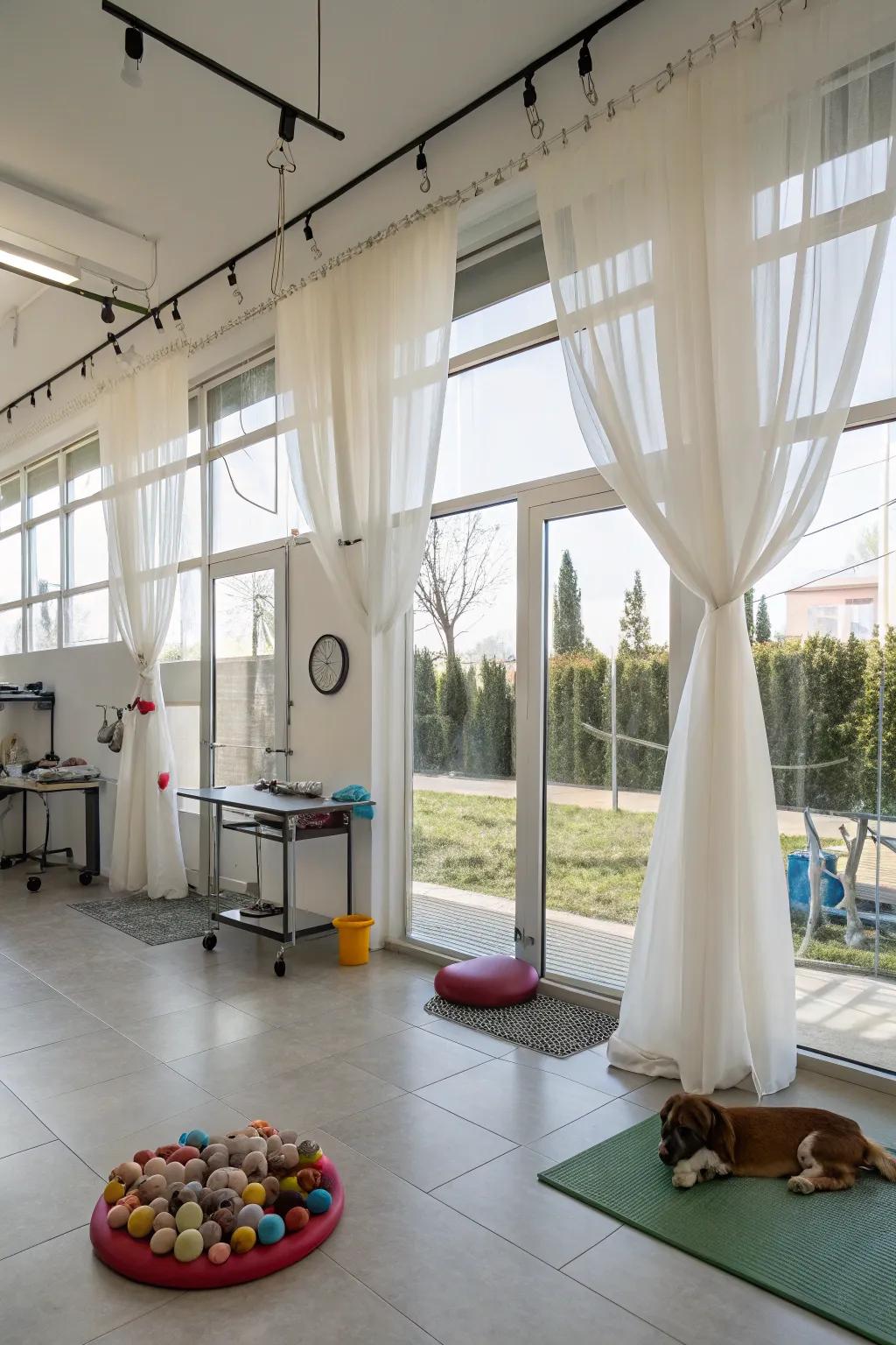 The amplification of natural light through grand windows veiled by diaphanous curtains.