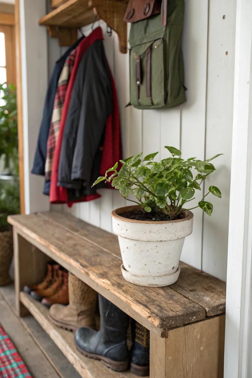 A hint of greenery infuses a revitalizing vibe into this mudroom.
