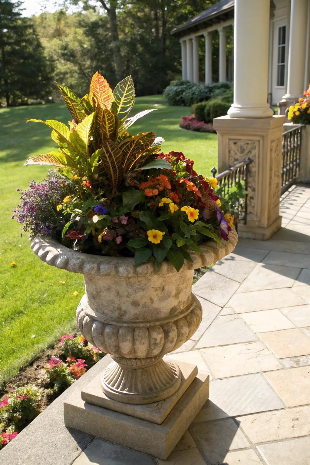 Striking shades achieved with Plants and faces within an autumnal pot.