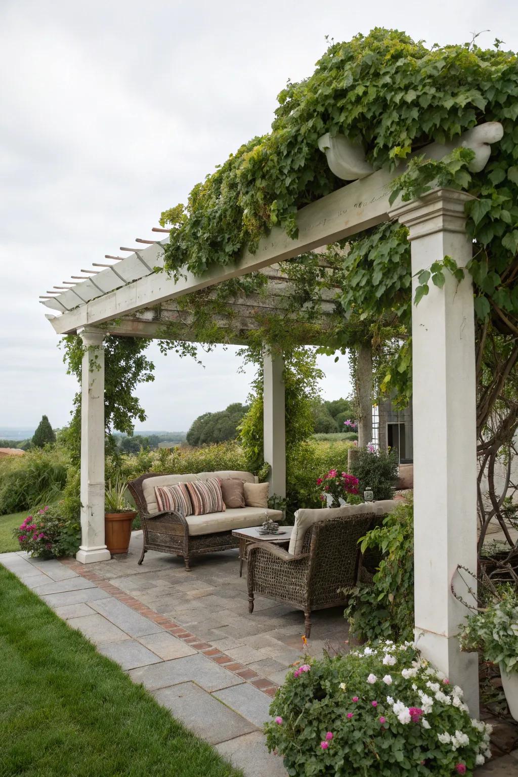 Establish a pergola paradise with climbing vines and cozy seating.