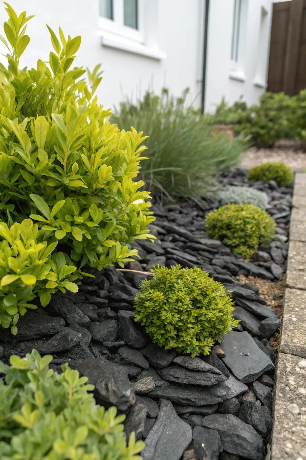Make your garden's verdant hues burst with contrasting stone shards.