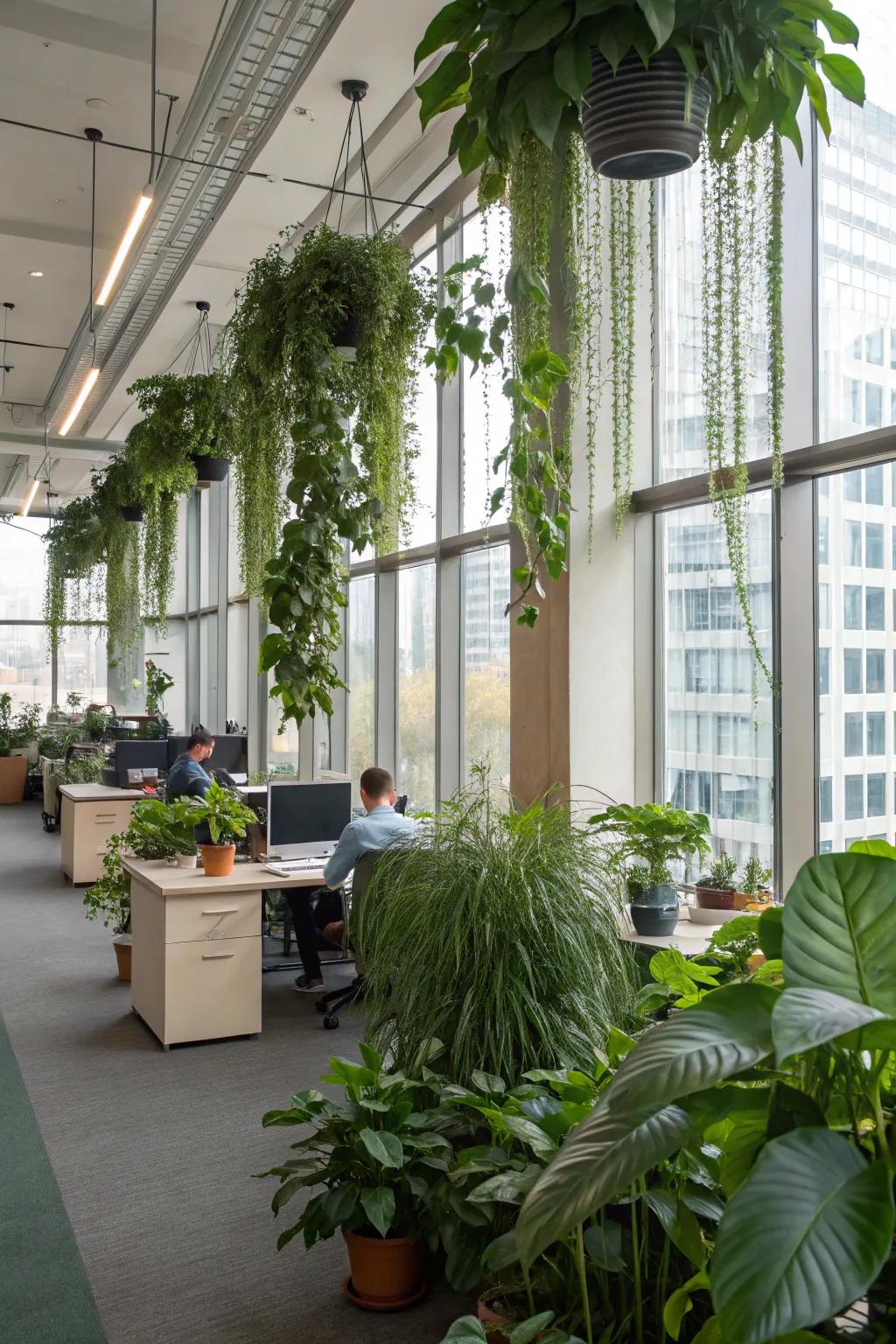 A space enhanced with indoor plants.