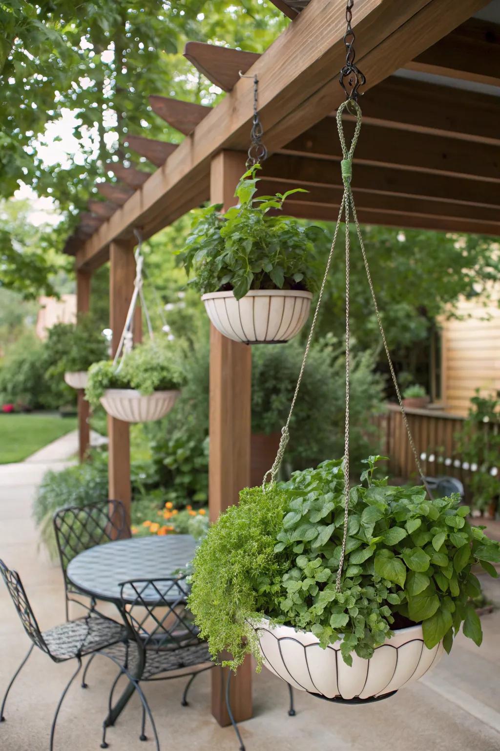 Hanging planters displaying herbs at eye level.