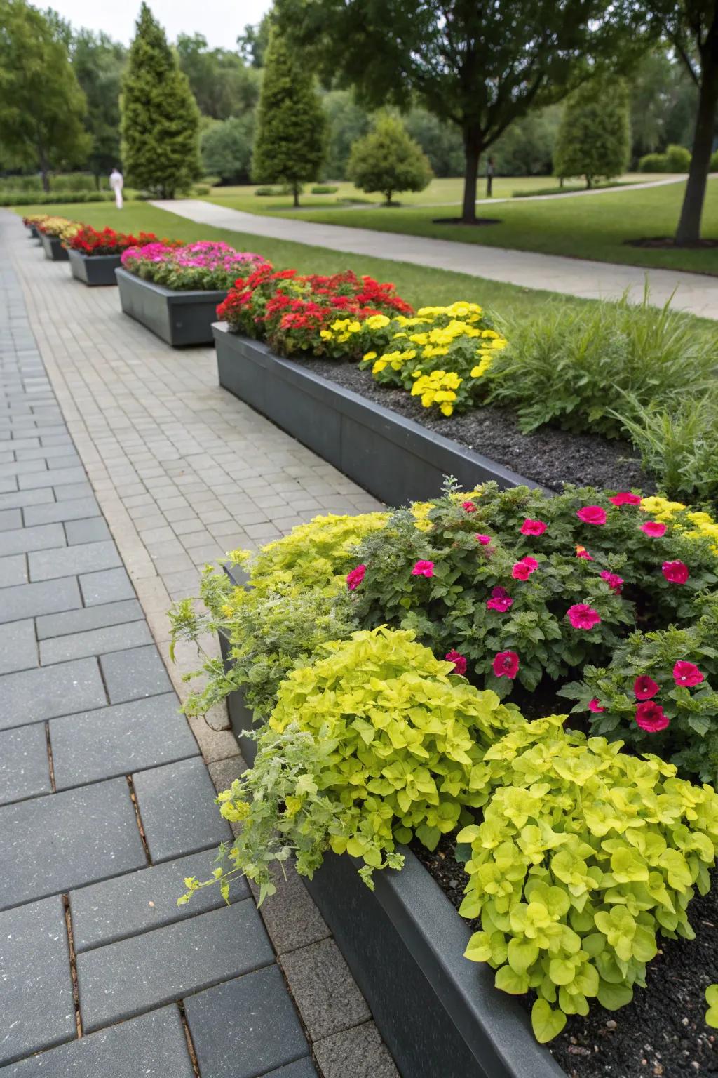 Contrasting hues produce a visually stunning garden.