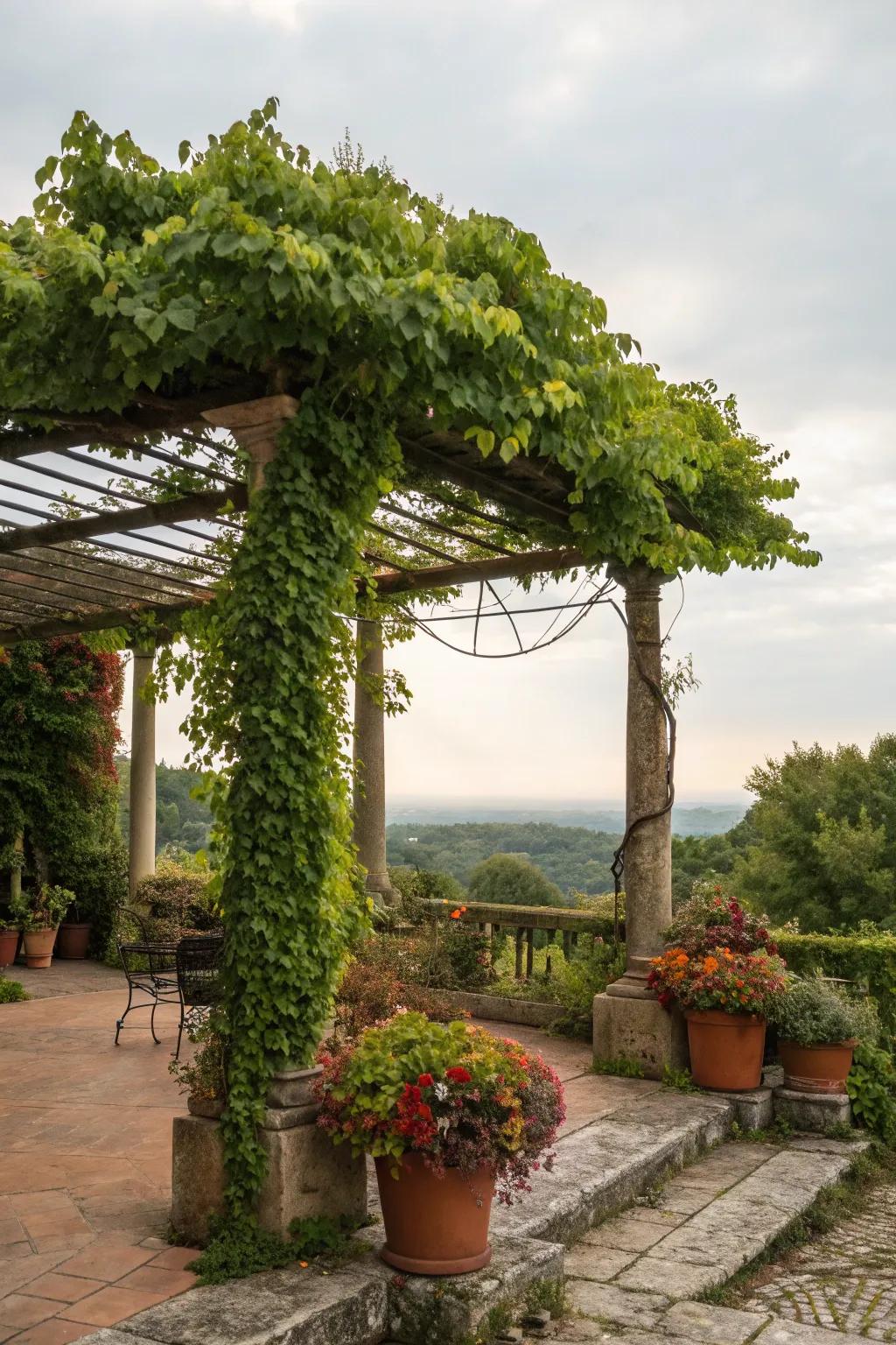 Greenery breathes vitality and vibrancy into your pergola's ambiance.