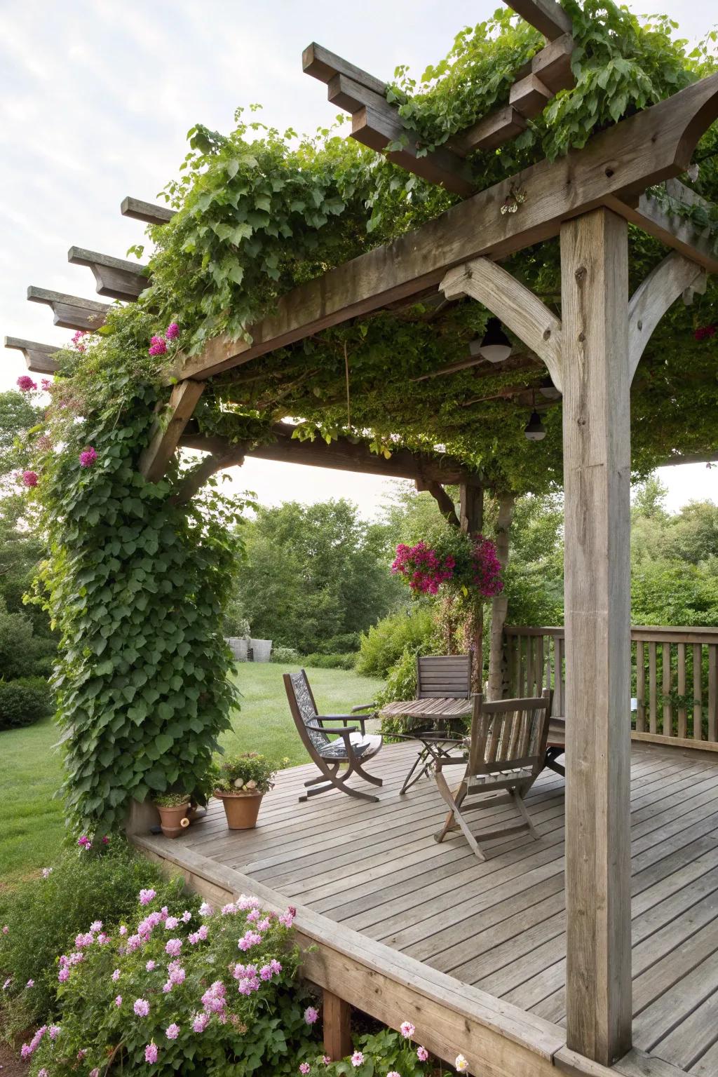 A pergola brings refinement and shade to your deck.