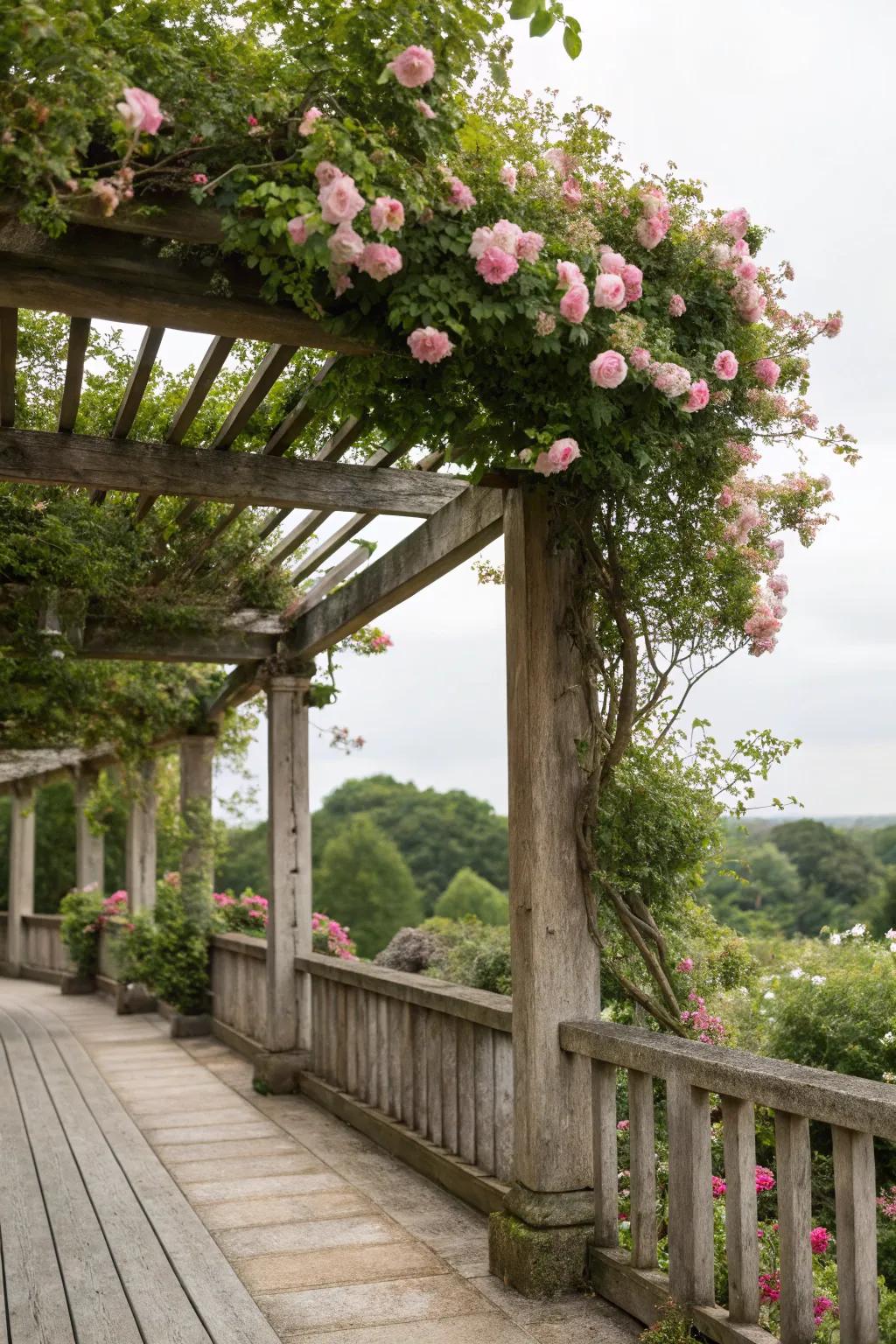 An arbor supplies both shade and refinement.